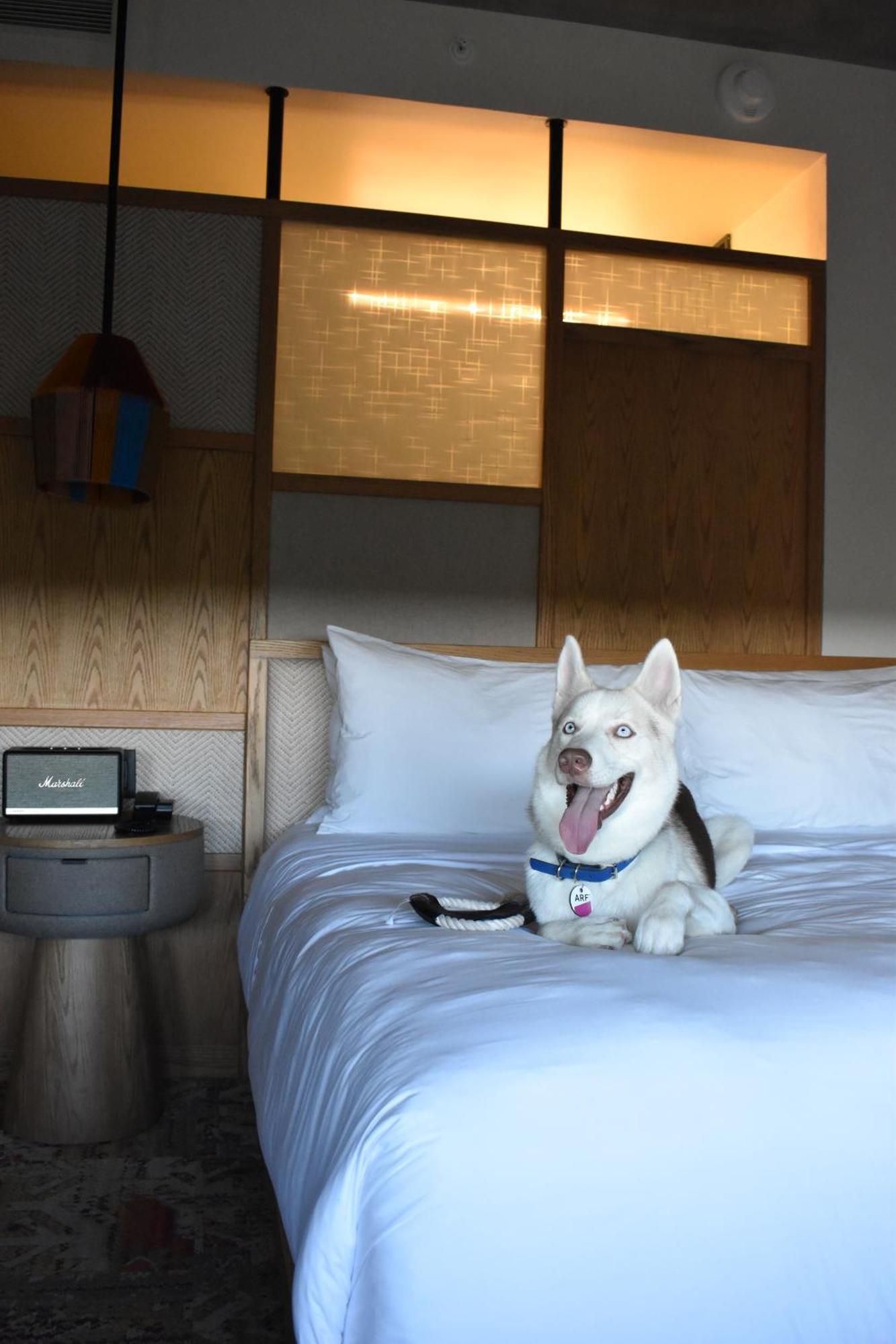 Aloft Tulum Ξενοδοχείο Εξωτερικό φωτογραφία