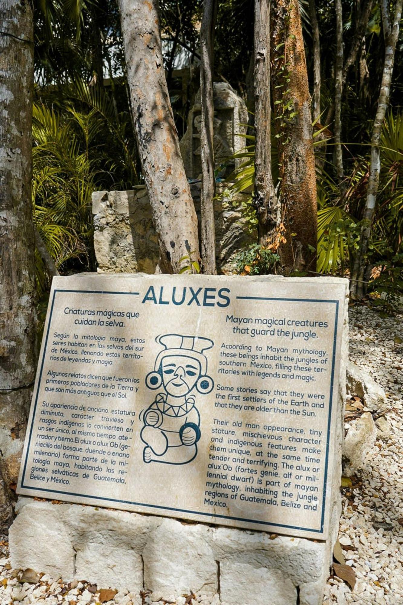 Aloft Tulum Ξενοδοχείο Εξωτερικό φωτογραφία